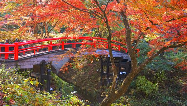 DAY 6 - IKAHO - NIKKO - TOKYO