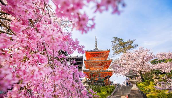 DAY 7 - MOUNT KOYA - KYOTO