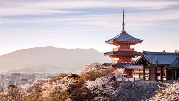 DAY 7 - MOUNT KOYA - KYOTO