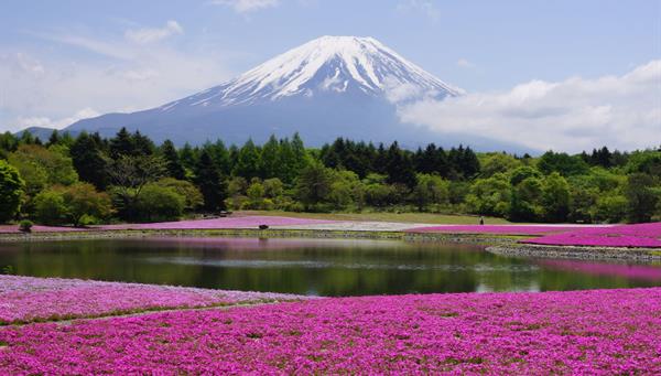 DAY 4 - GORA - MONT FUJI - KAWAGUCHIKO