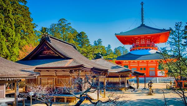 DAY 10 - MOUNT KOYA - KYOTO