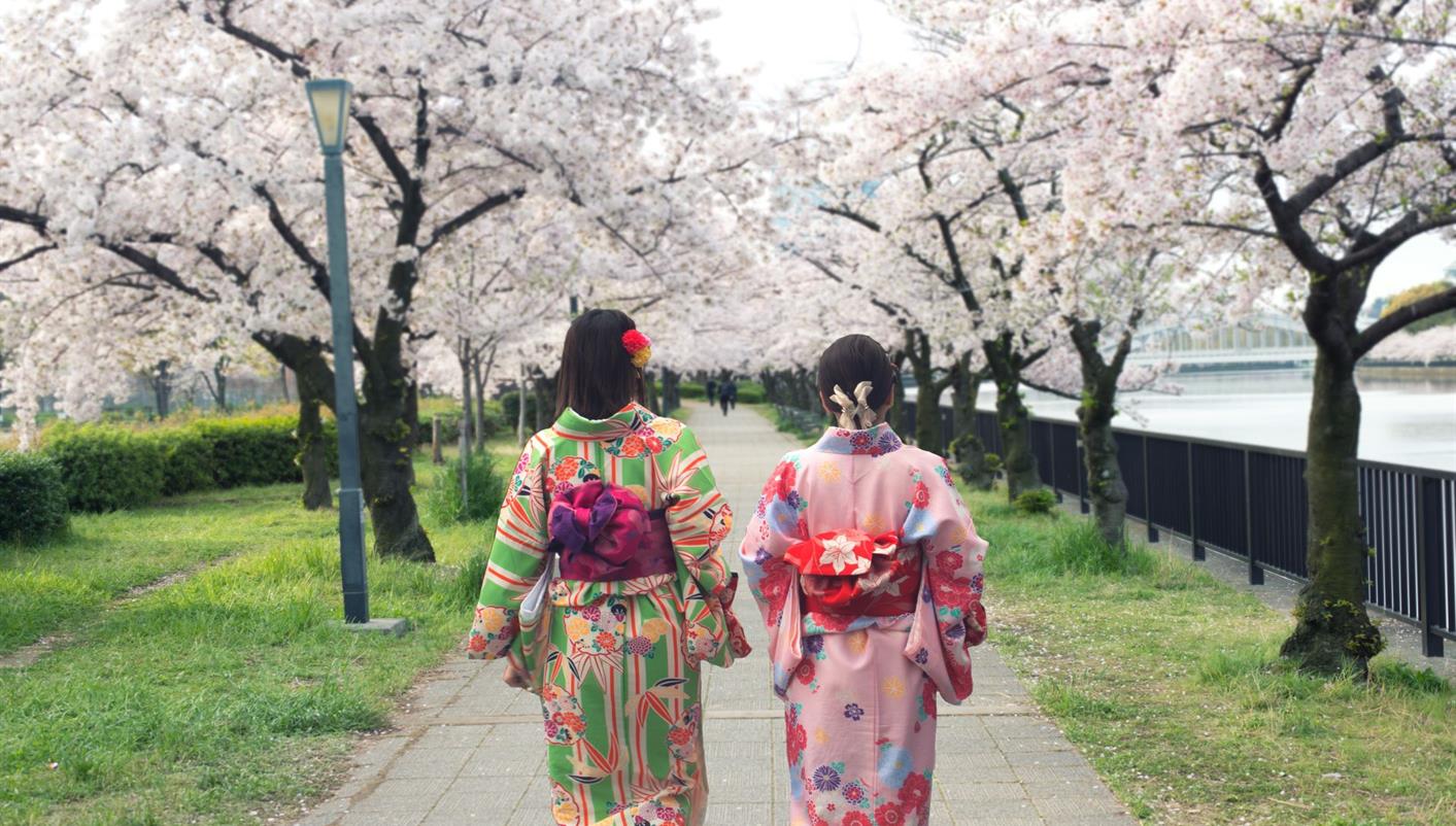 Essential Japan and Hakone end Hiroshima