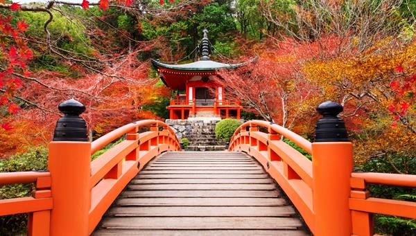 Capitals of Japan with Mount Fuji