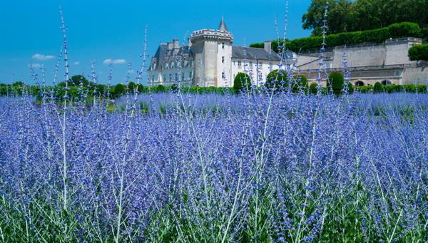 Day 1 - PARIS - BLOIS - TOURS - VILLANDRY - AMBOISE