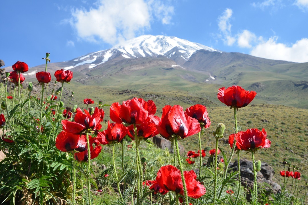 Mount Damavand Trekking Tour Package