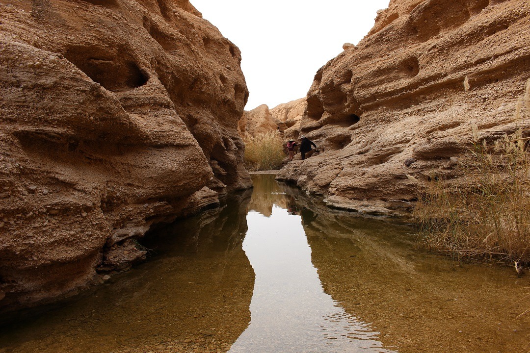 Day 7 - Tabas Desert