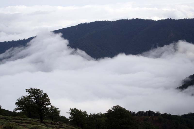 Day 4 - Hiking in Cloud Forest of Damqan