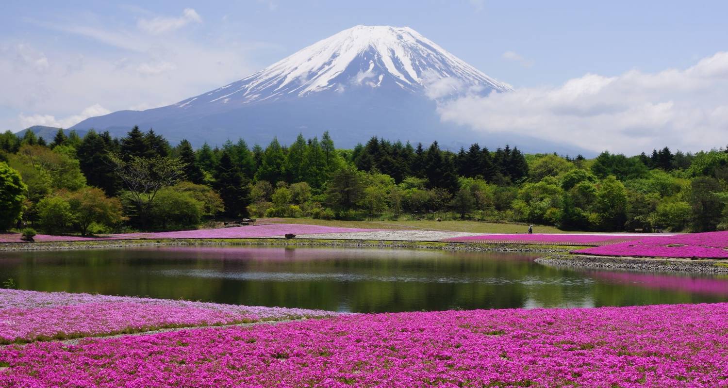 Tokyo, Kyoto, Alps and Fuji